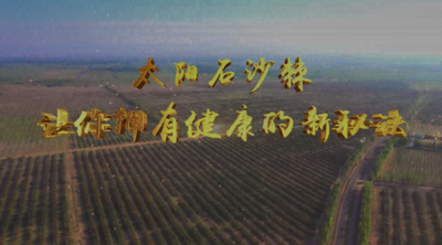 纪录东方之太阳石沙棘 让你拥有健康的新秘诀