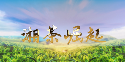 纪录东方之湘茶崛起