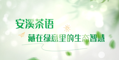 纪录东方之安溪茶语藏在绿意里的生态智慧